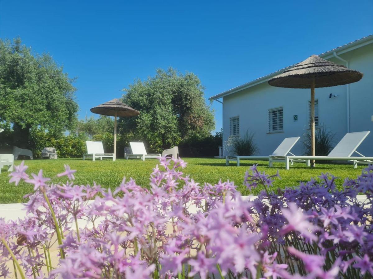 La Maison - Boutique Rooms Sperlonga Dış mekan fotoğraf